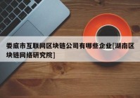 娄底市互联网区块链公司有哪些企业[湖南区块链网络研究院]